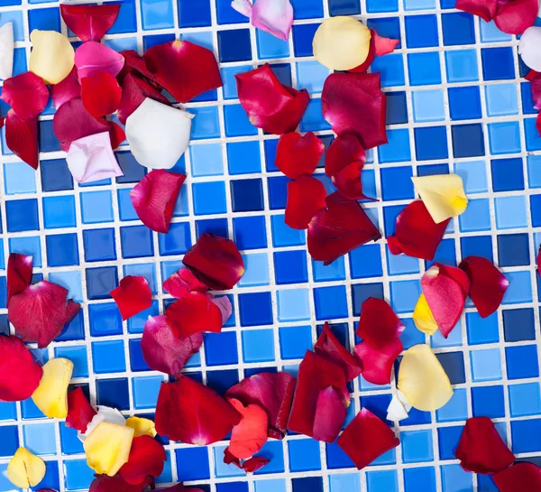 Pétalos de rosa en un mosaico de azulejos — Foto de Stock