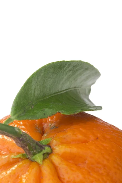Naranja mandarina —  Fotos de Stock