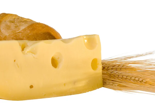 Rebanada de queso suizo —  Fotos de Stock