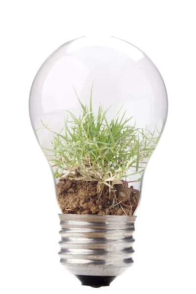 Grass in Light Bulb — Stock Photo, Image