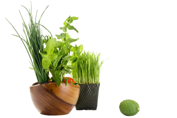 Alimento verde saludable — Foto de Stock