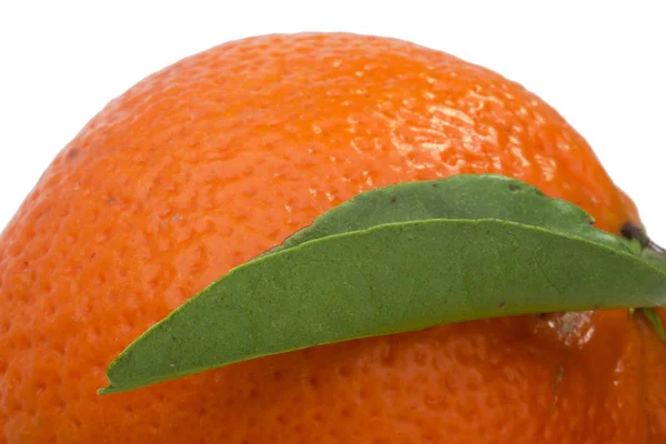 オレンジ蜜柑 — ストック写真