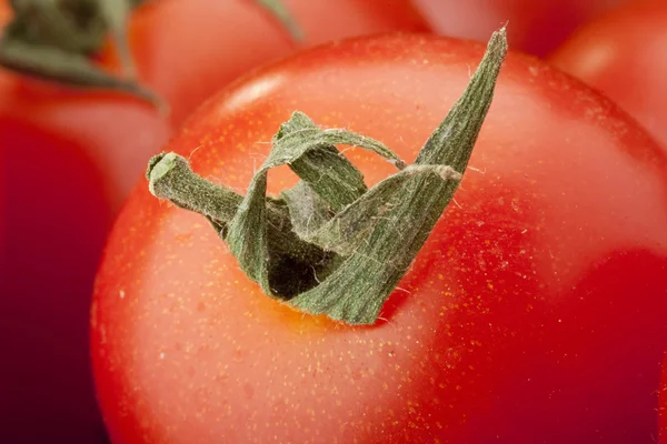 Küçük kırmızı domatesler — Stok fotoğraf
