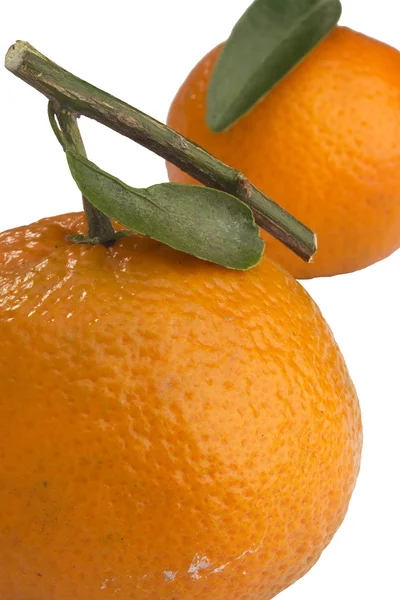 Mandarinas naranjas —  Fotos de Stock