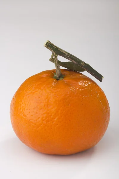 Jeruk tangerine — Stok Foto
