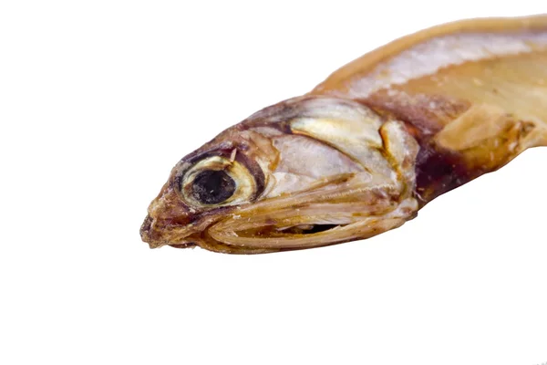 Сухий риби — стокове фото