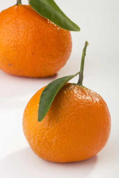 Orange tangeriner — Stockfoto