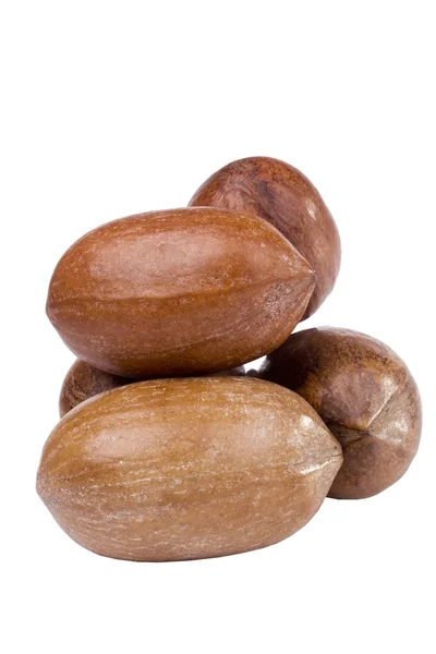Pecan Nuts — Stock Photo, Image