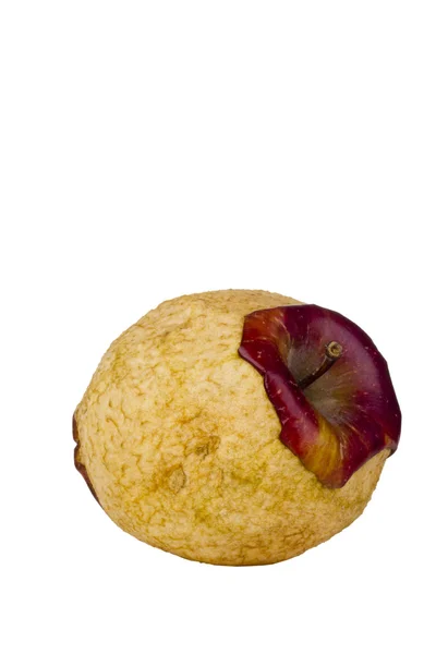 Загнивающее красное вкусное яблоко — стоковое фото
