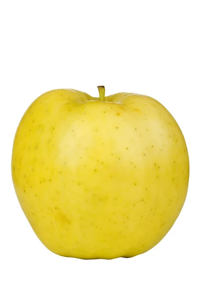 Золотое вкусное яблоко — стоковое фото