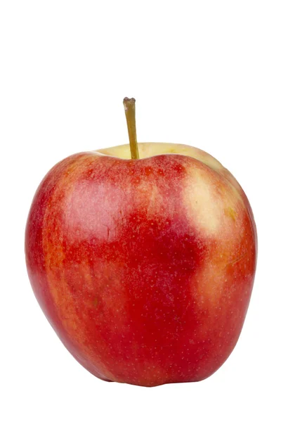 Gala äpple — Stockfoto