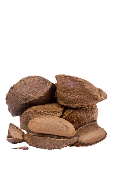 Brazil Nut — Stock Photo, Image