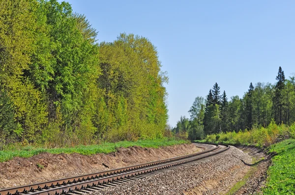 Binario ferroviario nella foresta — Foto Stock