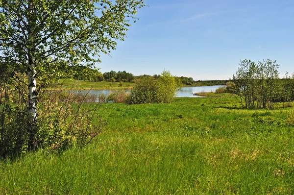 Venkovská krajina s jezerem — Stock fotografie