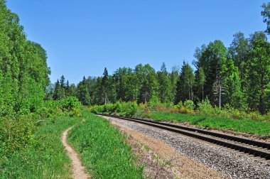 tren yolu ormandaki