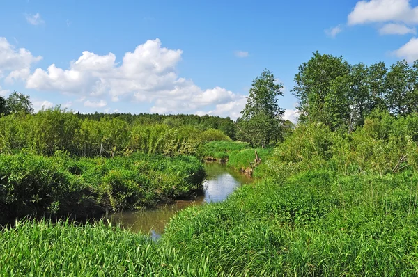 Venkovská krajina s malým řeka — Stock fotografie