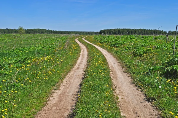 País estrada de terra no prado — Fotografia de Stock