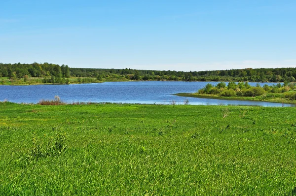 Göl ve çayır — Stok fotoğraf