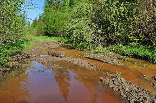 Poça de lama em uma estrada florestal — Fotografia de Stock