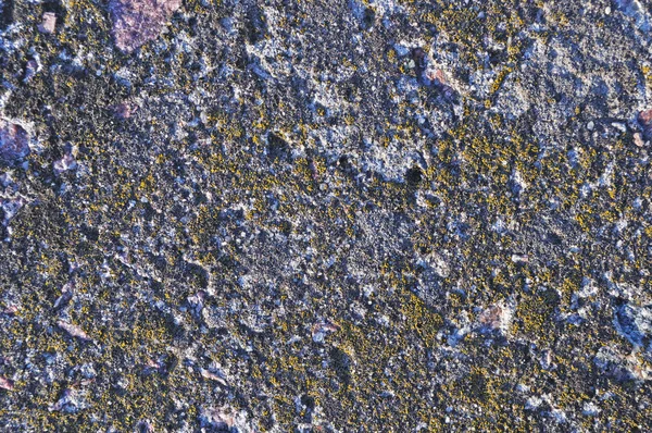 Погодный серый бетонный фон — стоковое фото