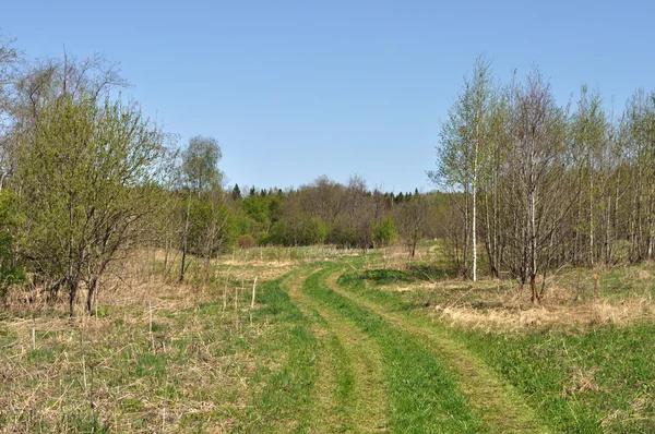 Деревенская дорога в зеленой траве — стоковое фото