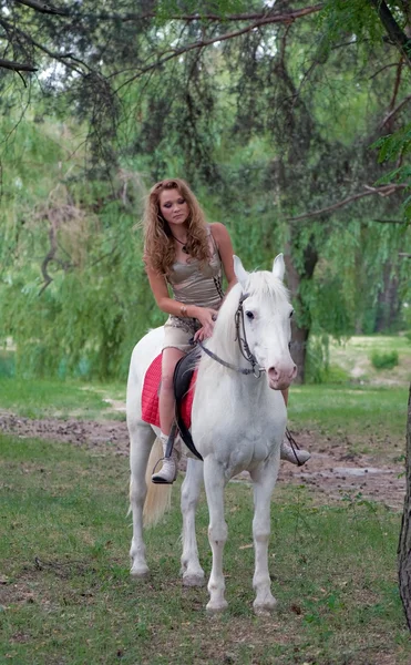 Charming horsewoman — Stock Photo, Image
