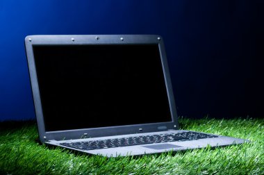 otların içinde laptop