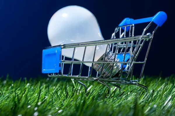 Einkaufswagen im Gras — Stockfoto
