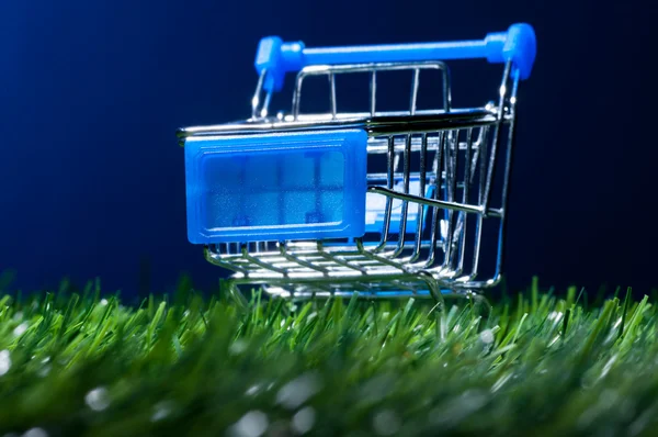 Alışveriş sepeti çimen — Stok fotoğraf