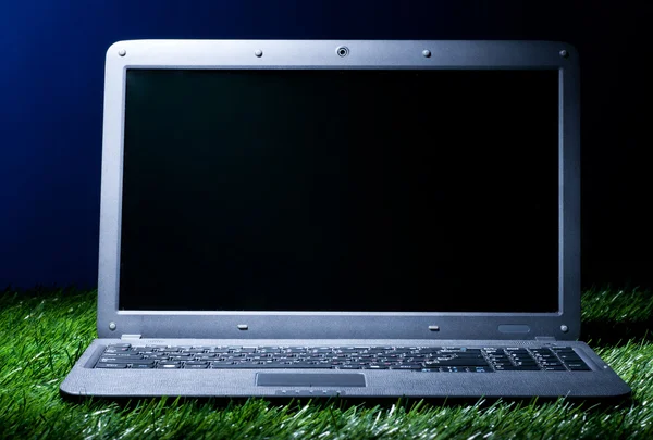 Laptop in gras — Stockfoto