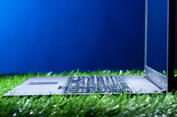 Ноутбук у траві — стокове фото