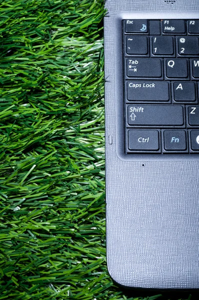 Ноутбук в траве — стоковое фото
