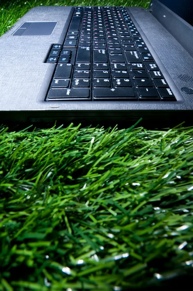 在草丛中的笔记本电脑 — 图库照片