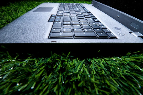 Ноутбук у траві — стокове фото