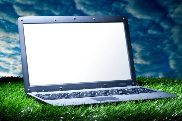 Laptopa na trawie — Zdjęcie stockowe