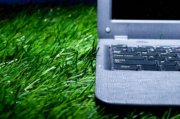 Çim üstünde laptop — Stok fotoğraf