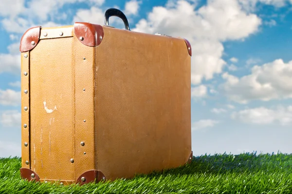 Kufr na trávě — Stock fotografie