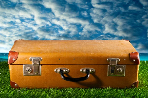 Suitcase on grass — Stock Photo, Image