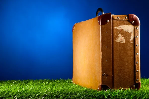 Resväska på gräs — Stockfoto
