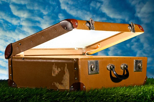 Kufr na trávě — Stock fotografie