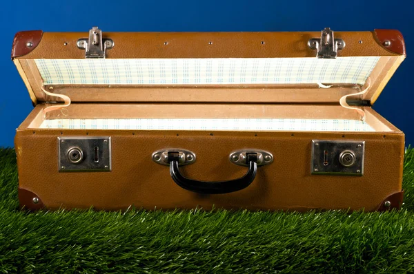 Suitcase on grass — Stock Photo, Image