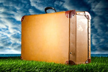 Suitcase on grass clipart