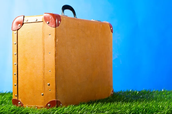 stock image Suitcase on grass