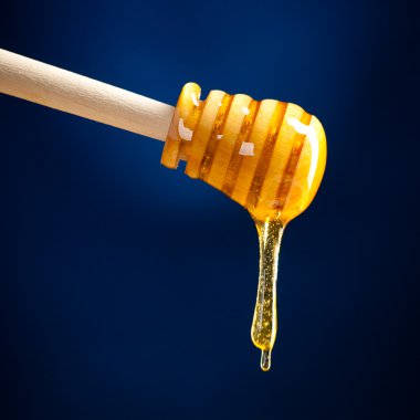 Dripping honey clipart