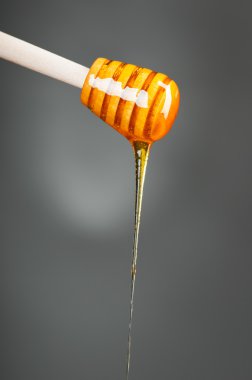 Dripping honey clipart