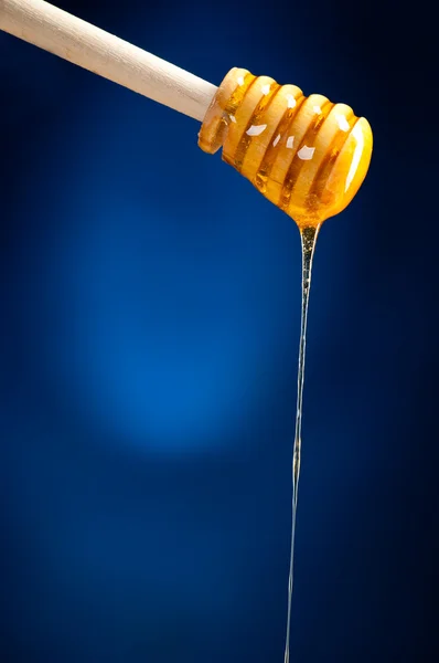 Druipende honing — Stockfoto