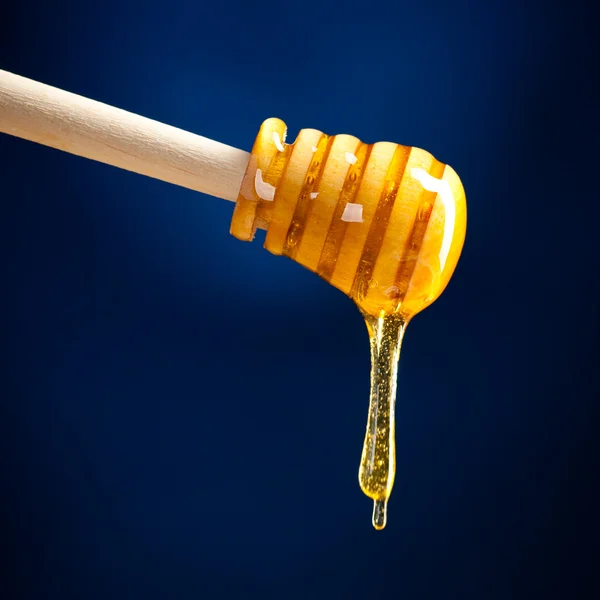 Droppande honung — Stockfoto
