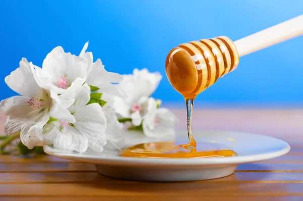 蜂蜜を滴下 — ストック写真