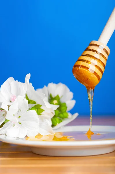 Miel que gotea —  Fotos de Stock