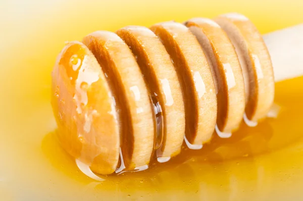 Cucchiaio di miele — Foto Stock